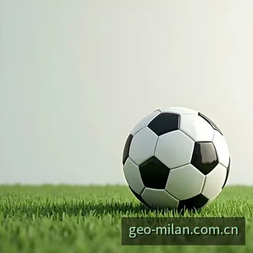 足球赛事内容